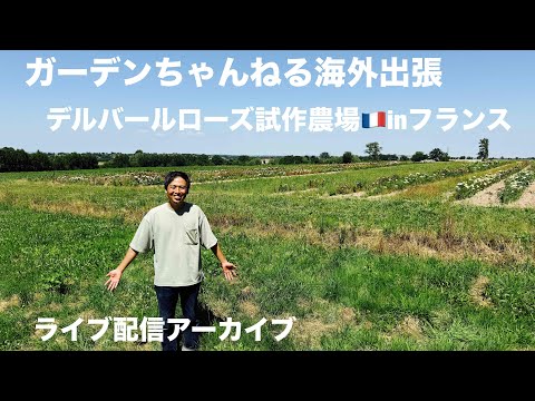 デルバール試作畑の様子をお届けします！