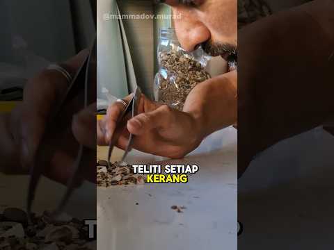 Dari sampah jadi bernilai #shorts