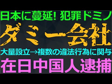 11-21 在日中国人が大量にダミー会社を設立！その目的は？