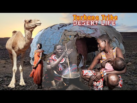 Village Life🌞 Morning Routine Of The Turkana Tribe Goat Herders || 🌵Desert Village