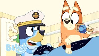 Bluey und Bingo Spielen Walbeobachtung! 🐳 ⛵️ | Bluey - Deutsch Offizieller Kanal