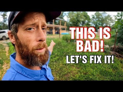 This is BAD! Let's FIX IT On Our Cabin Homestead & Make It Beautiful!