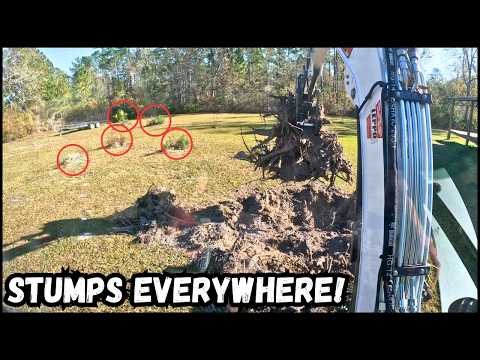 Stumps Everywhere! Bobcat E35 Stump Removal