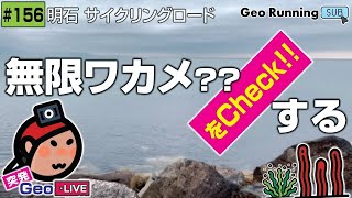 🔁【突発GeoのサブCH再録156】無限ワカメ??を Check!! する🪸／突発GeoLIVE 2022-04-14