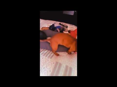 KLER Y ARIA VIOLAN A RAFA