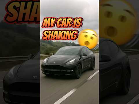 Tesla Shakes Like Crazy 🫨