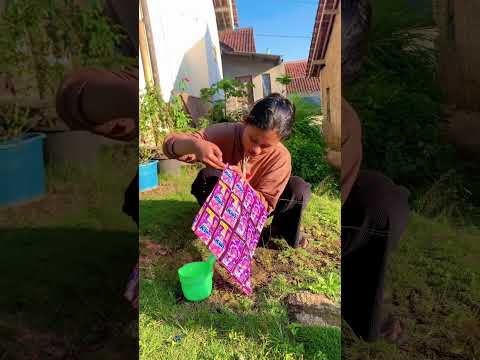 Cara unik agar layangan cepet terbang #diy #kreatif #art #craft #viralshorts