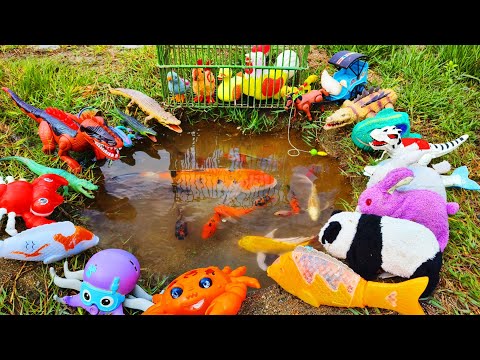 Fishing for colorful ornamental fish, koi fish, eels, real turtles, cute chicks, ducks, crocodiles