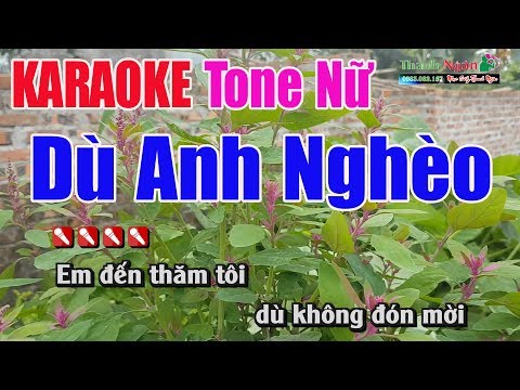 Dù Anh Nghèo Karaoke 8795| Tone Nữ – Nhạc Sống Thanh Ngân