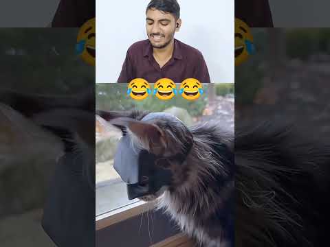 Mahendra Catabali 😀😀|#shorts #viral #funny #react #comedyvideos #trending #comedy #memes #reaction