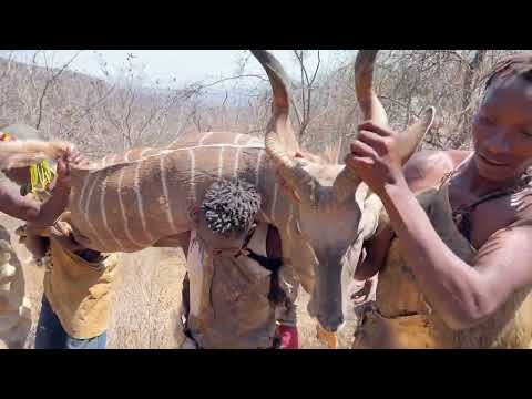 Survival in Rainforest-See how Hadzabe catch and Eat their favorite Prey