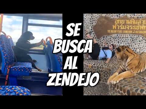 Se Busca al Zendejo