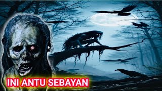 Ini Antu Sebayan