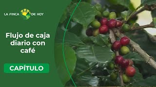 Cinco claves para cosechar y beneficiar café diariamente - La Finca de Hoy