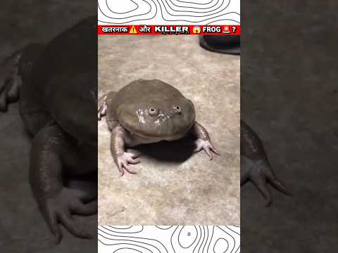 BE AWARE  ⚠️ FROM   ? THIS   FROG ??⁉️#shorts#youtubeshorts#viral#funny#sports#games#new#fun