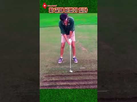 골퍼가 밭을 잘 가는 이유 #아이언잘치는법