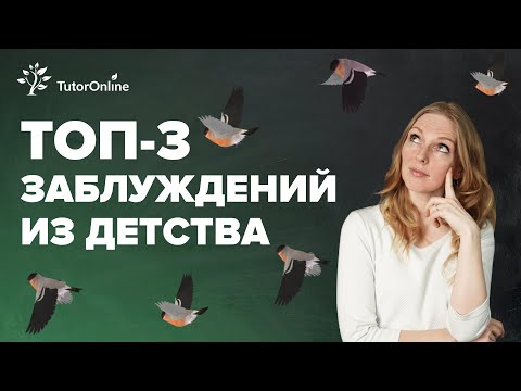 3 заблуждения из детства по биологии #shorts