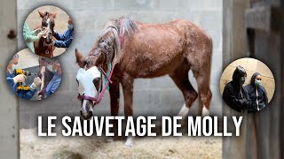 UNE OPÉRATION POUR LA SAUVER 🆘
