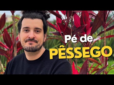 Sobre espalhar COISAS BOAS!