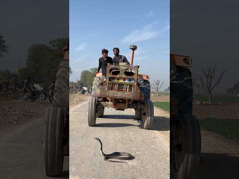 Saanp dekh kar tractor ko wapis kar liya
