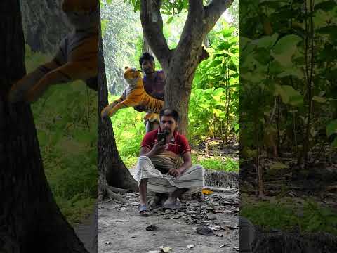 TOP FUNNIEST FAKE TIGER IN BRAZIL 🤓 Part-26 #shorts #trending #youtubeshorts #funny #tiktok #comedy