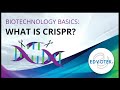 Understanding CRISPR and Its Applications