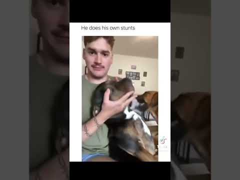 Animals That Are Way Too Funny!