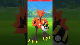 WILD LEGENDARY BIRD!!! #pokemon #shorts #viral @MYSTlC7