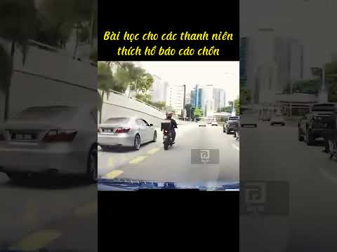 Bài học cho trẻ trâu thích hổ báo cáo chồn #Shorts #ONGBO3CONREVIEW #haihuoc #vuinhon #funny #giaitr