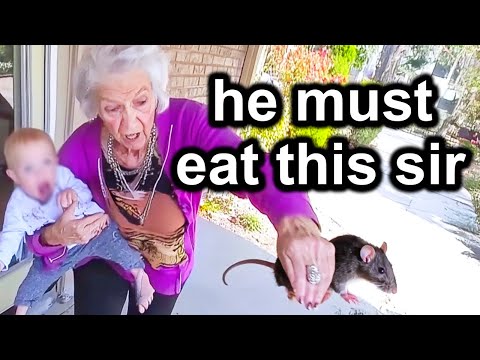 When EVIL Grandparents Get Hunted Down By Cops