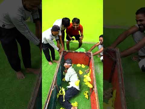 Frog Challenge  #experiment