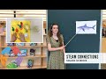 Shark Anatomy and Conservation Concepts