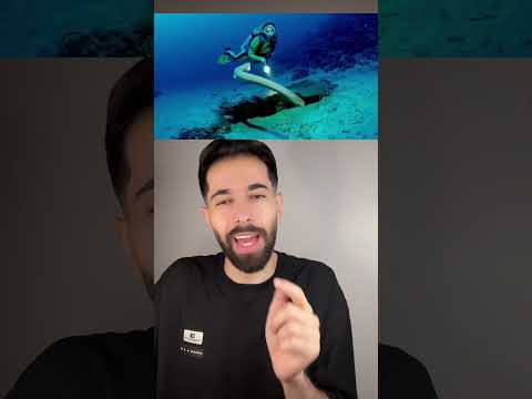 لكن !! ثعبان البحر 😳😱 الاكثر سمية بالعالم