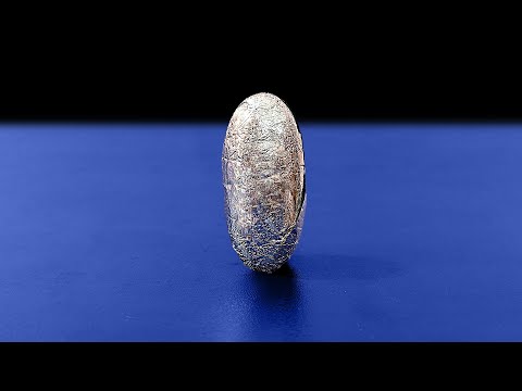 The Science Magic 🚀 | Make Your Own MIGHTY BEANZ | Jumping Beans