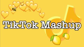 TikTok Mashup February 2022 *with song names* (not clean)
