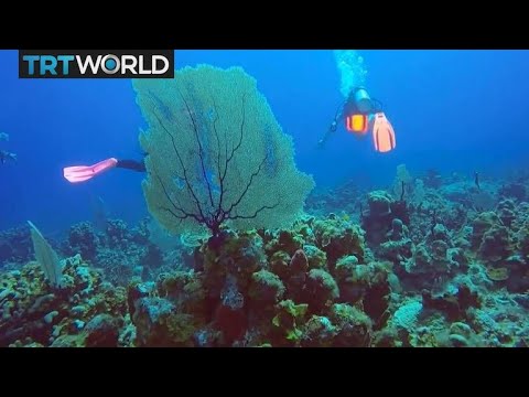 YouTube video thumbnail: America's Forgotten Paradise: US Virgin Islands Concerned over Climate Change