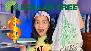 RANDOM DOLLAR TREE HAUL 🌳💵