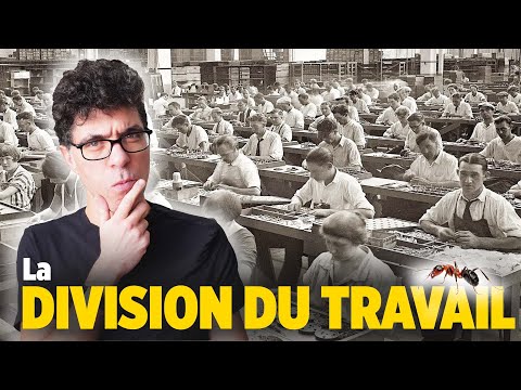 Peut-on travailler COMME DES FOURMIS ? 🐜 🐜 🐜