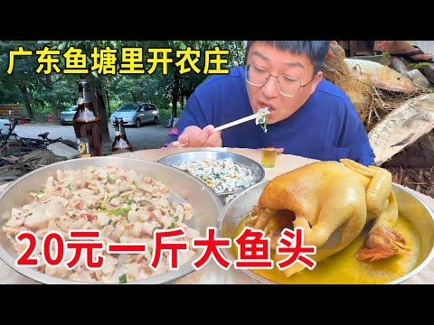 广东江门绝世高手鱼塘里开农庄，20元一斤大鱼头，一鱼两吃肉质鲜嫩太绝了#麦总去哪吃