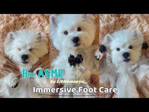 【ASMR】Bai's Immersive Foot Care | Total Relaxation and Sleep Aid