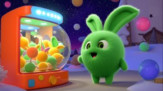 Boo-ha-ha, Mimi-ribbit, hip-hop Hopper, tra-la-la! | 🔴 LIVE SUNNY BUNNIES TV | Cartoons for Children