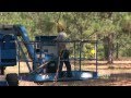 Longleaf Pine Restoration and Ecology