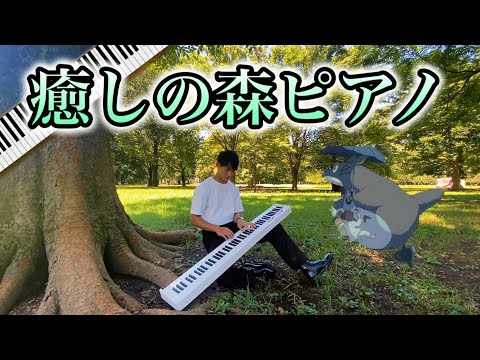 【癒し】自然を感じる公園でピアノ弾いたら、完全にととのいました。