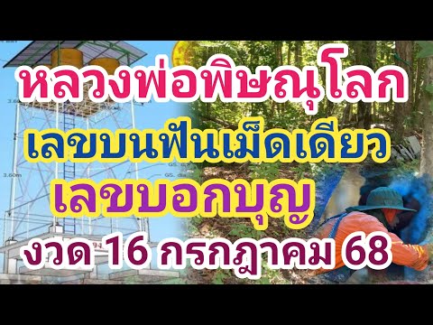 หลวงพ่อพิษณุโลก เลขบอกบุญ เลขบนฟัน 3ตัวเม็ดเดียว 16 กรกฎาคม 68