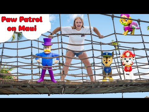 Assistant Searches for Paw Patrol Mayor Humdinger in Maui Pools