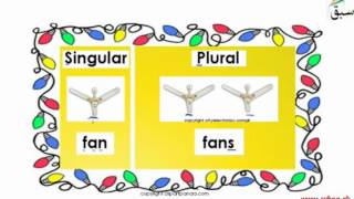 Exercise-Singular and Plural (one and more than one things)
