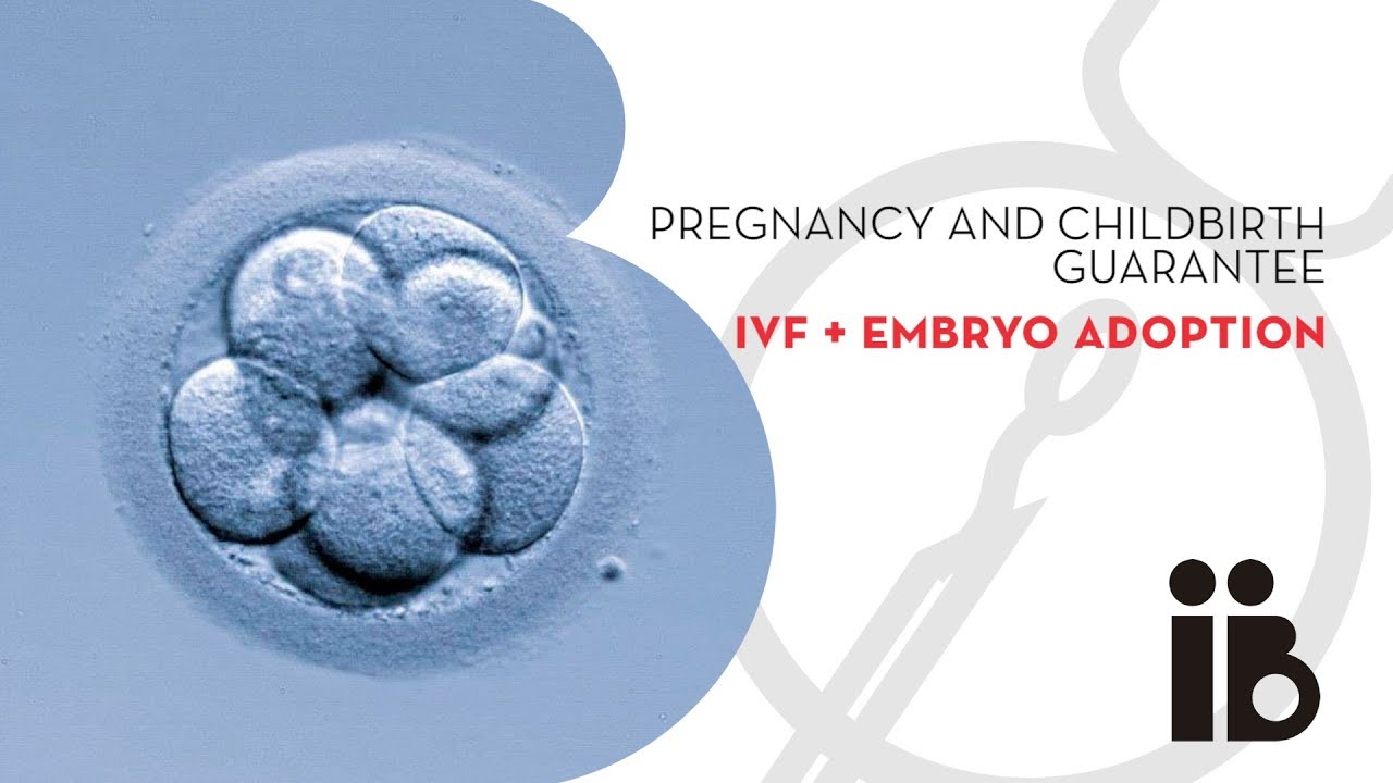 Pregnancy and childbirth guarantee. IVF + embryo adoption