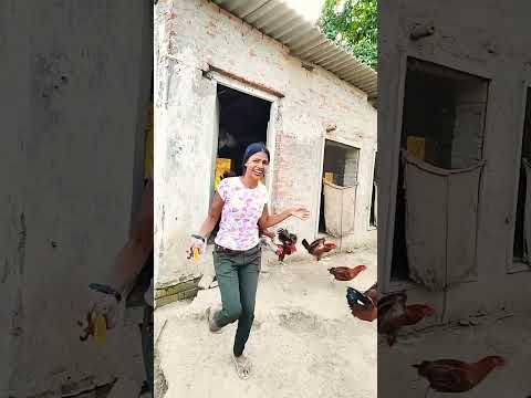 24 सितंबर 2024