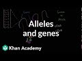 Understanding Genes and Alleles