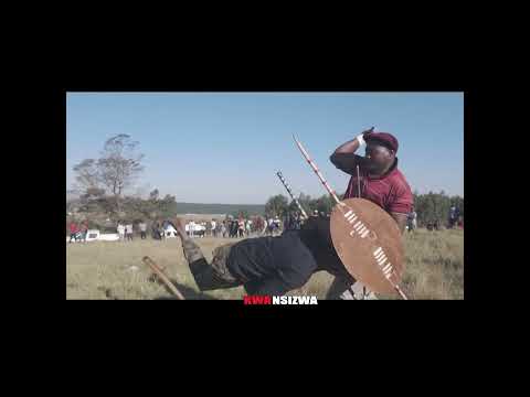 Zulu Warrior - Madala🤣( South Africa )🇿🇦